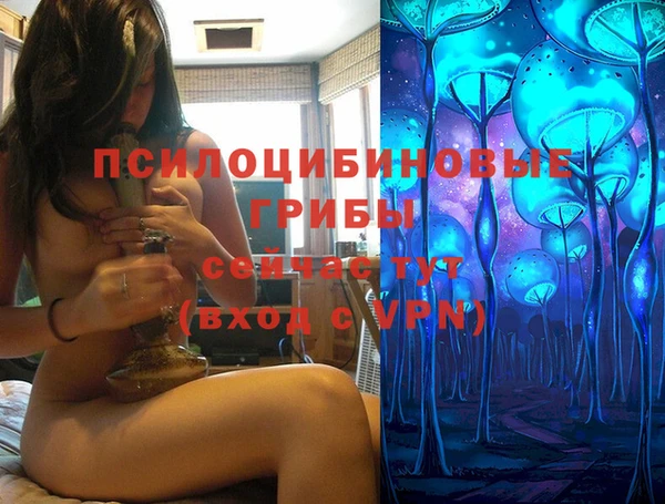 амф Семилуки