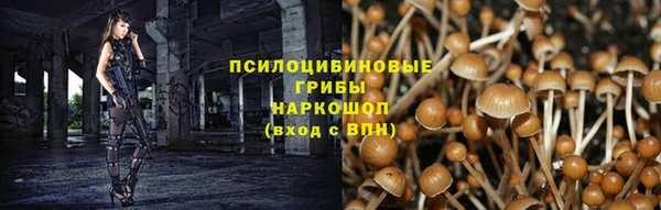 амф Семилуки