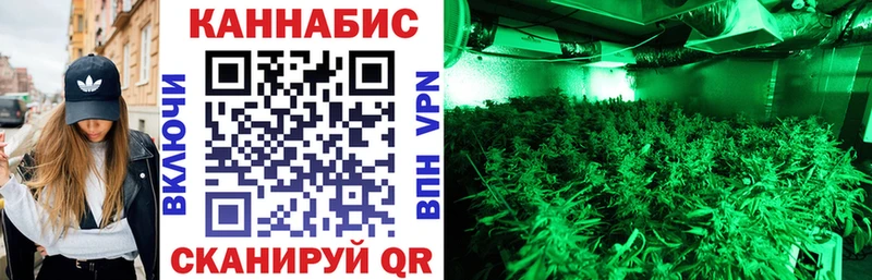 как найти наркотики  Тырныауз  Бошки Шишки сатива 